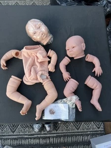 Reborn Doll Kit Unpainted Vinyl Claire Taylor JAYDEN 2008 & DKP 2006 PAISLEY - Picture 1 of 10