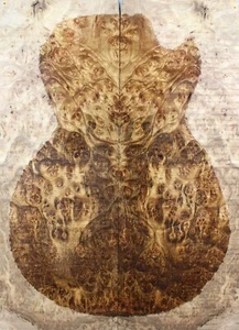 Figura de guitarra eléctrica 5A tapa hendida alcanfor dorado burl madera Luthier Supply - Imagen 1 de 4