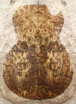 5A Figure Electric Guitar Top Spalted Golden Camphor Burl Wood Luthier Supply - Image 1 of 4