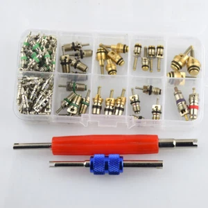 102 Pcs Assortment A/C AC Shrader Valve Core & Tool R134 R12 HVAC Valves kit - Picture 1 of 8