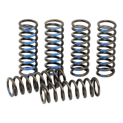 Pro Circuit Set Di Molle Frizione SPRINGS CLUTCH YZ250F Foto 1 de 3