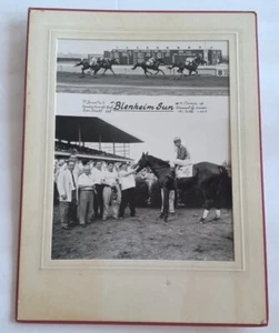 Rhode Races Narragansett 1959 Blenheim Sun Winner Foto Original - Imagen 1 de 5