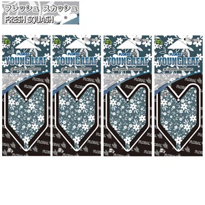 Wakaba Tree frog 4 packs Fresh Squash Scents JDM Hanging Air Freshener, Floral - Bild 1 von 5