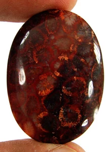 42,20 Ct natürliche fossile Korallen loser Edelstein Cabochon Draht Wickelstein - 63026 - Bild 1 von 5