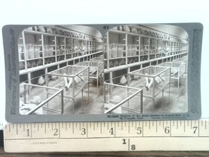 Vittime del Grande Disastro Pompei Stereoview Corpi Morti e Mummificati - Foto 1 di 2