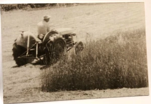 Bruce Hobson mowing with a 14-4 mower on an 8N in 1953 CHROME POSTCARD D1 - Picture 1 of 2