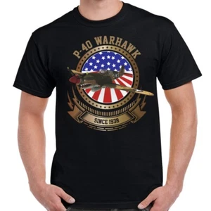P-40 Warhawk Stars and Stripes Men's T-Shirt - Picture 1 of 3