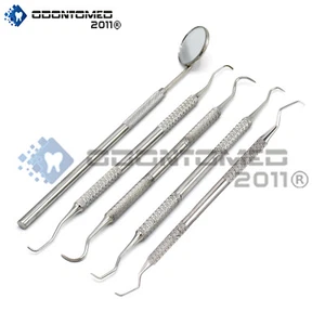 ODM 5pcs Assorted Stainless Steel Dental Picks Double End And Mirror PR-268 - Picture 1 of 3