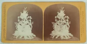 PHANTOM LEAVES I L ROGERS 2 STEREOVIEWS SPEAR SPRINGFIELD MASS 1871-1872 - Picture 1 of 4