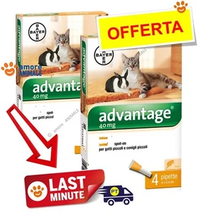 Bayer Advantage Para Gatos Y Pequeños Animales - 4 Pipetas - Antiparasitario - Imagen 1 de 2