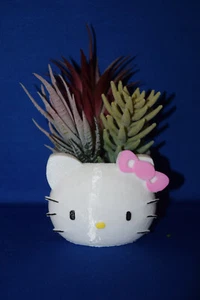 Hello Kitty ~ Blume Sukkulente Topf Pflanzgefäß Luft Pflanze Figur 3D gedruckt USA - Bild 1 von 1