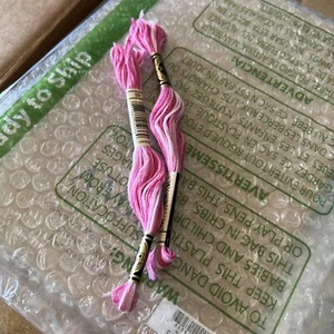 DMC 6-Strand Embroidery Cotton 8.7yd-Variegated Baby Pink - 2 Pack - Picture 1 of 3