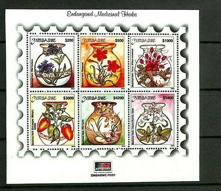 Zimbabwe - 2003 - Scott #949-954a - Hoja de recuerdo - Hierbas medicinales en peligro de extinción Foto 1 de 1
