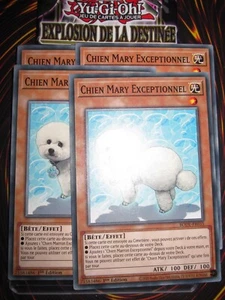 YU-GI-OH! PLAYSET (LOT DE 4) CHIEN MARY EXCEPTIONNEL BODE-FR035 EDITION 1 NEUF - Picture 1 of 1