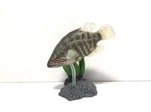 Yujin Japanese Exclusive Japanese Perch Fish A  Figure - Picture 1 of 3