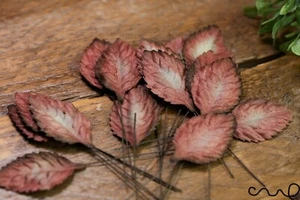 20 Brown Rose Mulberry Paper Leaves Stalk Craft Card Making Wedding Deco Bouquet - Picture 1 of 8