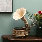 ROKR Electric Gramophone 3D Wooden Puzzle Laser Cutting Games Teen Xmas Gift Toy