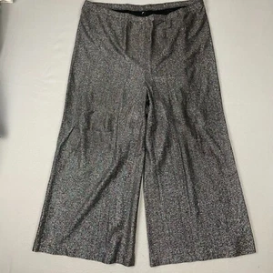 Vintage Women's Glitter Elastic Band Wide Leg Pants Gray 40" Long 24" Inseam - Picture 1 of 14