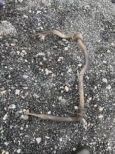 Range Rover P38 V8 2.5 4.0 4.6 front anti roll bar Torsion Bar Good - Picture 1 of 4