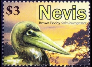 Nevis 2010 MNH, Brown Booby, Water Birds   - Picture 1 of 1