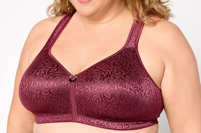 Breezies~Wild Rose Lace Seamless Wirefree Bra~A260367, A679229~No Padding - Image 1 of 3