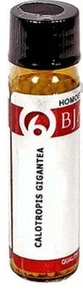 Bjain Calotropis Gigantea Globulos Medicina Homeopática Botella 6 Gm - Imagen 1 de 1