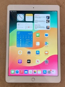 Apple iPad 7th Gen. 32GB, Wi-Fi, 10.2 in - Silver - Afbeelding 1 van 2