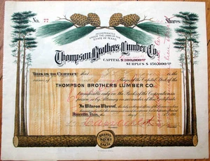 Thompson Brothers Lumber Co. 1909 Stock Certificate, Douchette Houston, TX Color - Picture 1 of 1