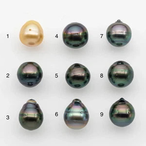12-13mm Tahitian Pearl, Loose Undrilled with High Luster and for Jewelry Making - Picture 1 of 77