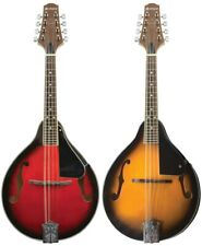 Chord Traditional Teardrop Traditional Style Gloss Finish Mandolin Instrument for sale