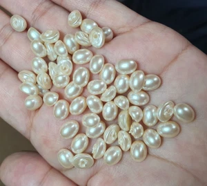 Lot 0f (20) Vintage Czech Pearls Flat Back Cabochons - Bild 1 von 5