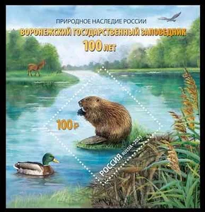 RUSSIA 2023 * ANIMALS * FAUNA * Voronezh Reserve * BLOCK * MNH - Imagen 1 de 2