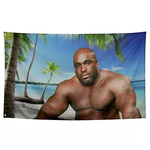 Bandera de madera Barry de doble cara genial banderas divertidas pancarta 3x5 pies pared meme banderas O... - Imagen 1 de 6