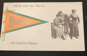 Brimfield, Indiana Flag Greeting Postcard C1913 “All The Girls Are Nice In” - Picture 1 of 5