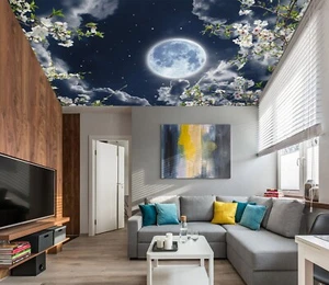 3D Soft Moonlight I5708 Ceiling WallPaper Murals Wall Print Decal Deco Erin 2023 - Picture 1 of 5