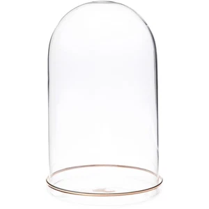 Plymor 4.5" x 8" Glass Display Dome Cloche (Gold Rim Glass Tray Base) - Picture 1 of 2