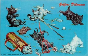 Artist impression Comic Humor Scotty's Dog Dexter Postcard 12382 - Imagen 1 de 2