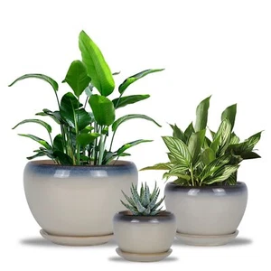 Flower Pot with Drainage Set of 3 Pack Plant Pot with Connected Saucer Cerami... - Picture 1 of 6