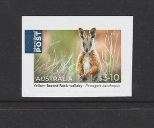 AUSTRALIA 2023 - NATIVE ANIMALS $3.10 Wallaby P&S International stamp MNH - Picture 1 of 1