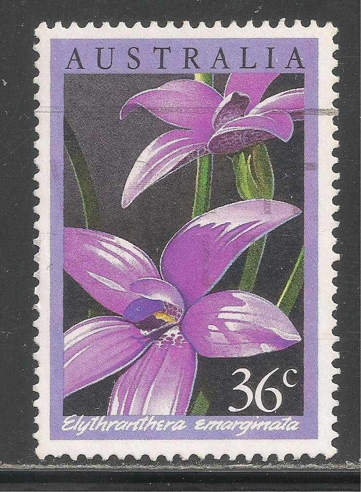 Australia #997 (A370) USED - 1986 36c Elythranthera Emarginata Orchid  - Image 1 of 1