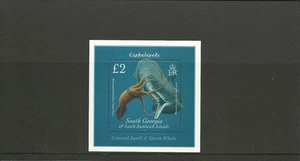 SOUTH GEORGIA - 2010- SGMS491 CEPHALOPODS MINISHEET- MNH - Picture 1 of 1