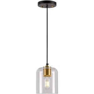 Forte Lighting 2724-01-62 Tyrone Mini Pendant Black and Soft Gold - Picture 1 of 2