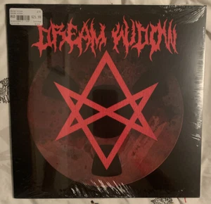 DREAM WIDOW (FOO FIGHTERS) BLACK FRIDAY RSD 2022 EXCLUSIVE VINYL LP NEW  - Picture 1 of 3