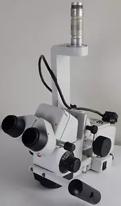 Karl Kaps SOM 32 Testina ottica per microscopio stereo per odontoiatria/chirurgia - Foto 1 di 11
