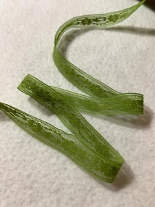 Vintage Apple Green Insertion Lace Trim 5/8" wide x 3 Yards - Picture 1 of 4