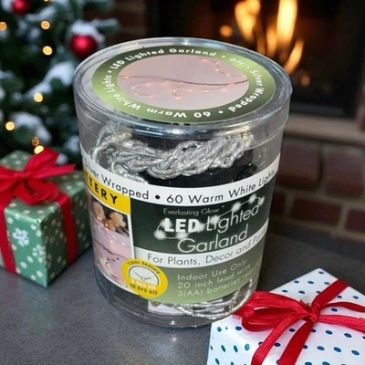 Everlasting Glow LED Garland 60 Lght Twinkle Warm White Gerson Plant Decor Timer - Image 1 of 4