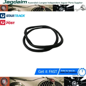 New Jaguar E-Type S1,S2,S3 FHC 2+2 Windcreen Seal Raer BD20309 - Picture 1 of 1
