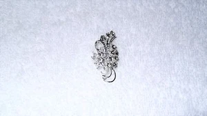 Abrigo Abrigo Chaqueta de Diseño de Cinta de Cristal Transparente Pin Joyería Moda Regalo Elegante - Imagen 1 de 2