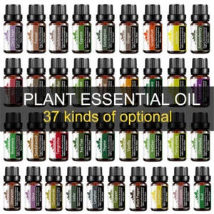 10mL Essential Oils Fragrances Oil Therapeutic Grade Oil Natural Aromatherapy US - Picture 1 of 6