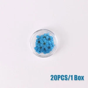 20Pcs Dried Flower Manicure Drip Glue Pressed 3D DIY Nail Art Tips Decoration - Picture 1 of 20